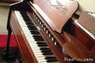 The Pump Organ, technically a harmonium